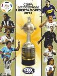 Copa Bridgestone Libertadores 2013 - Cards