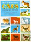 Cães do Mundo Inteiro