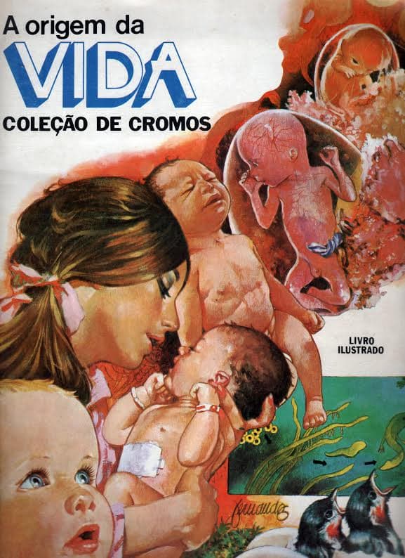 Capa do álbum A origem da Vida