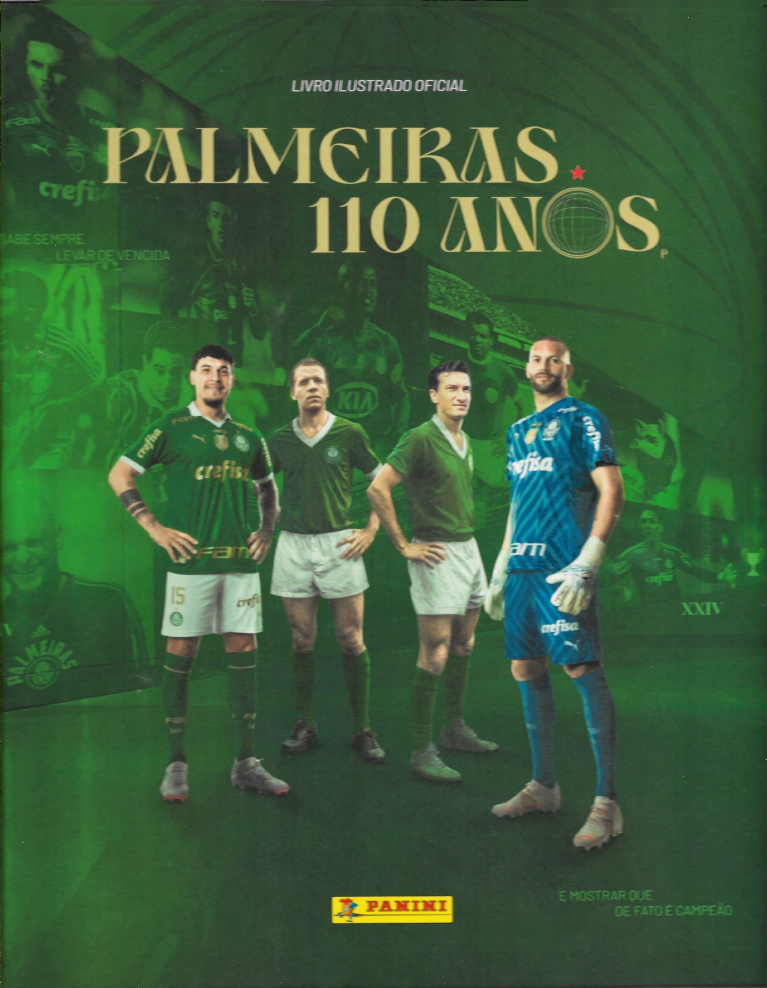 Palmeiras 110 anos