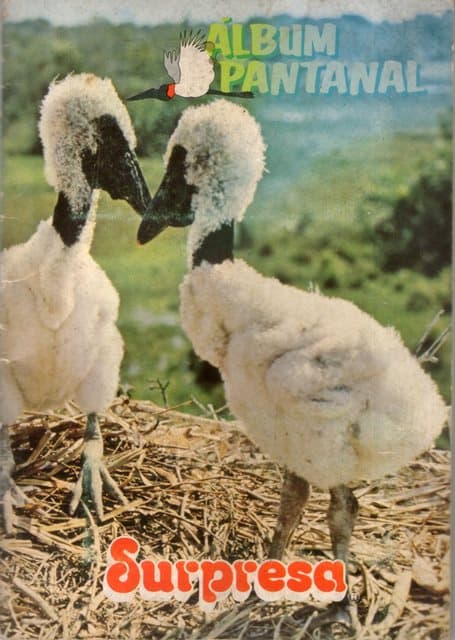Capa do álbum Surpresa - Pantanal