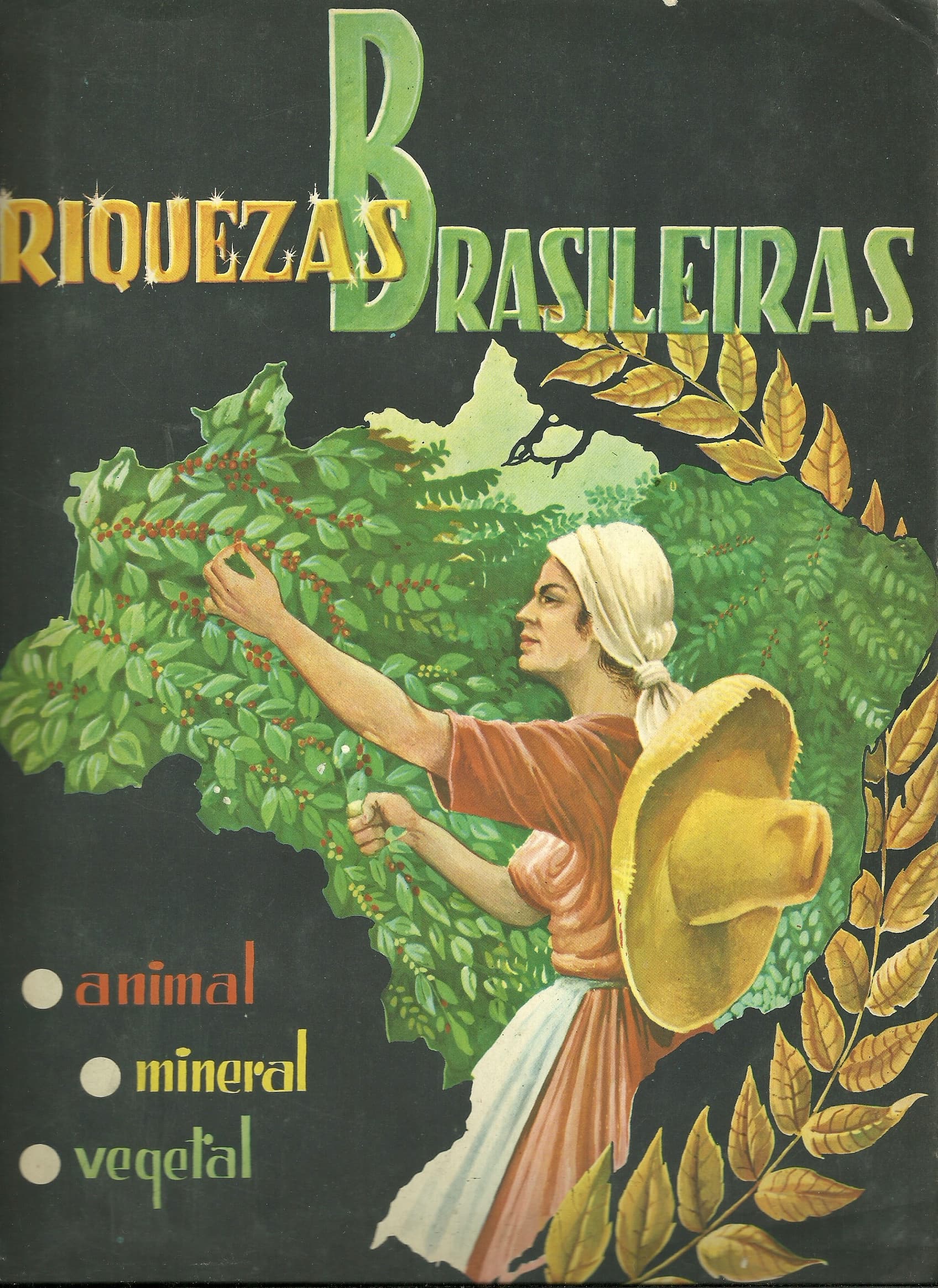 Capa do álbum Riquezas Brasileiras