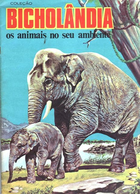 Capa do álbum Coleção Bicholândia: Os Animais No Seu Ambiente