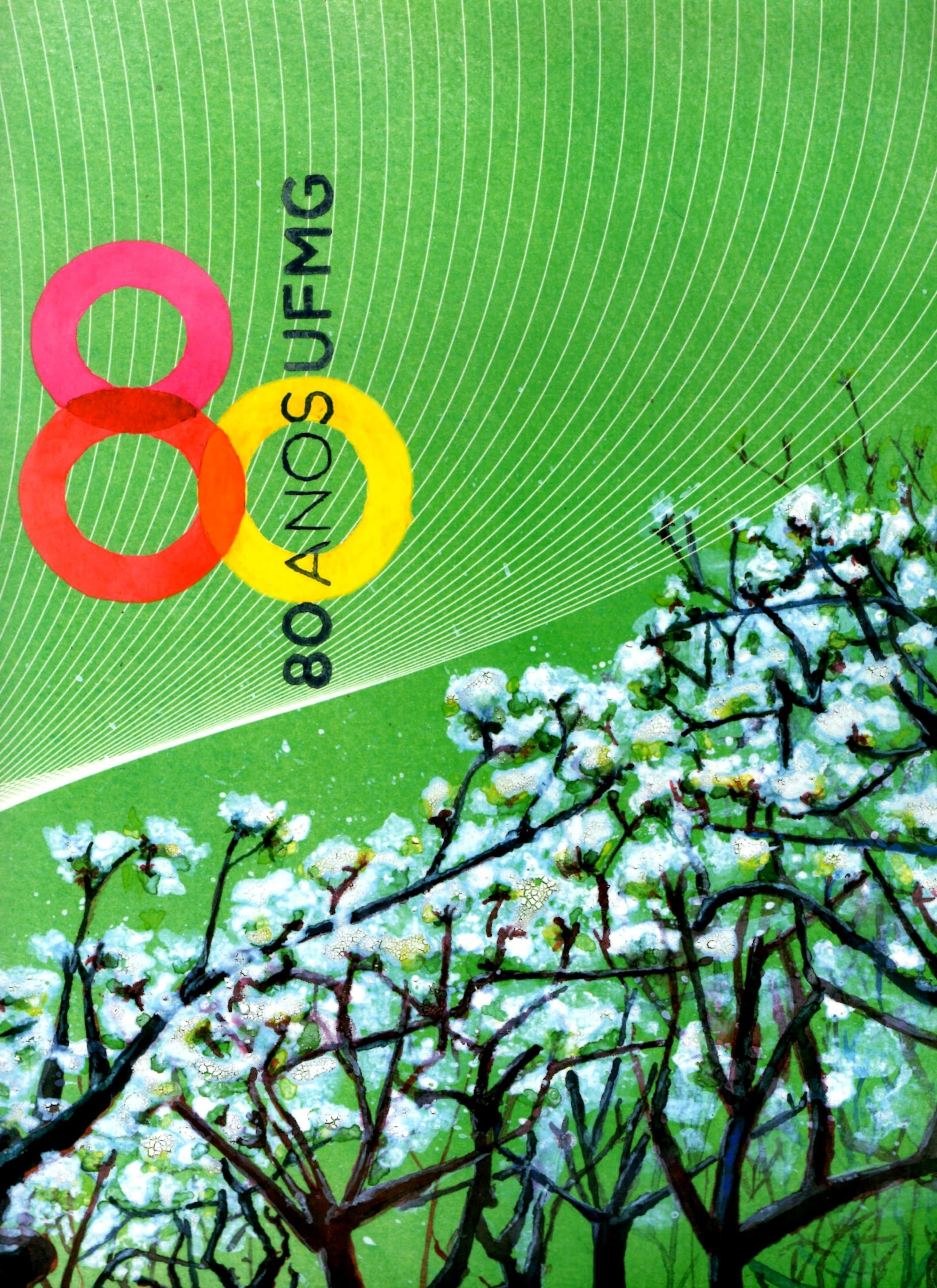 Capa do álbum 80 anos UFMG
