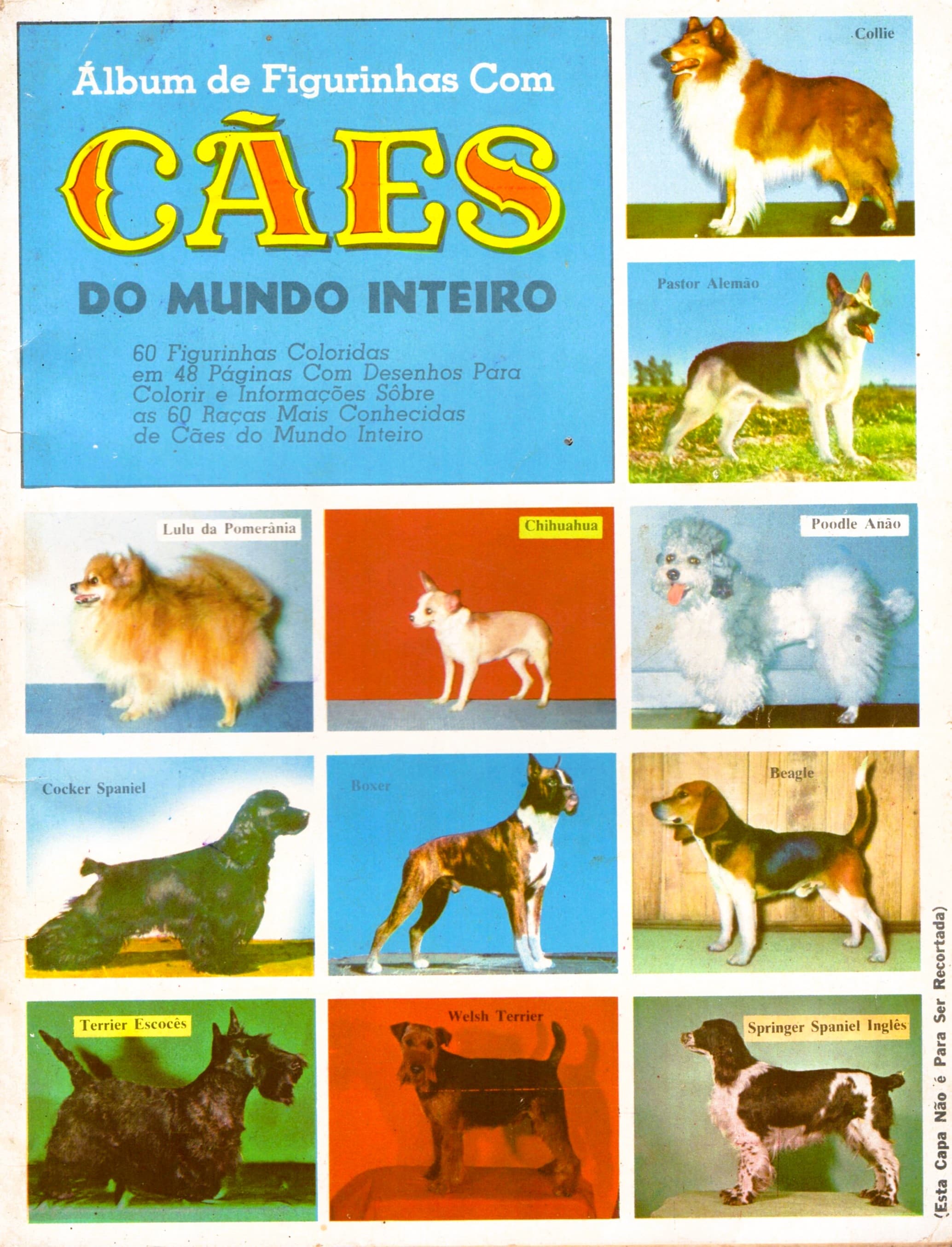 Capa do álbum Cães do Mundo Inteiro